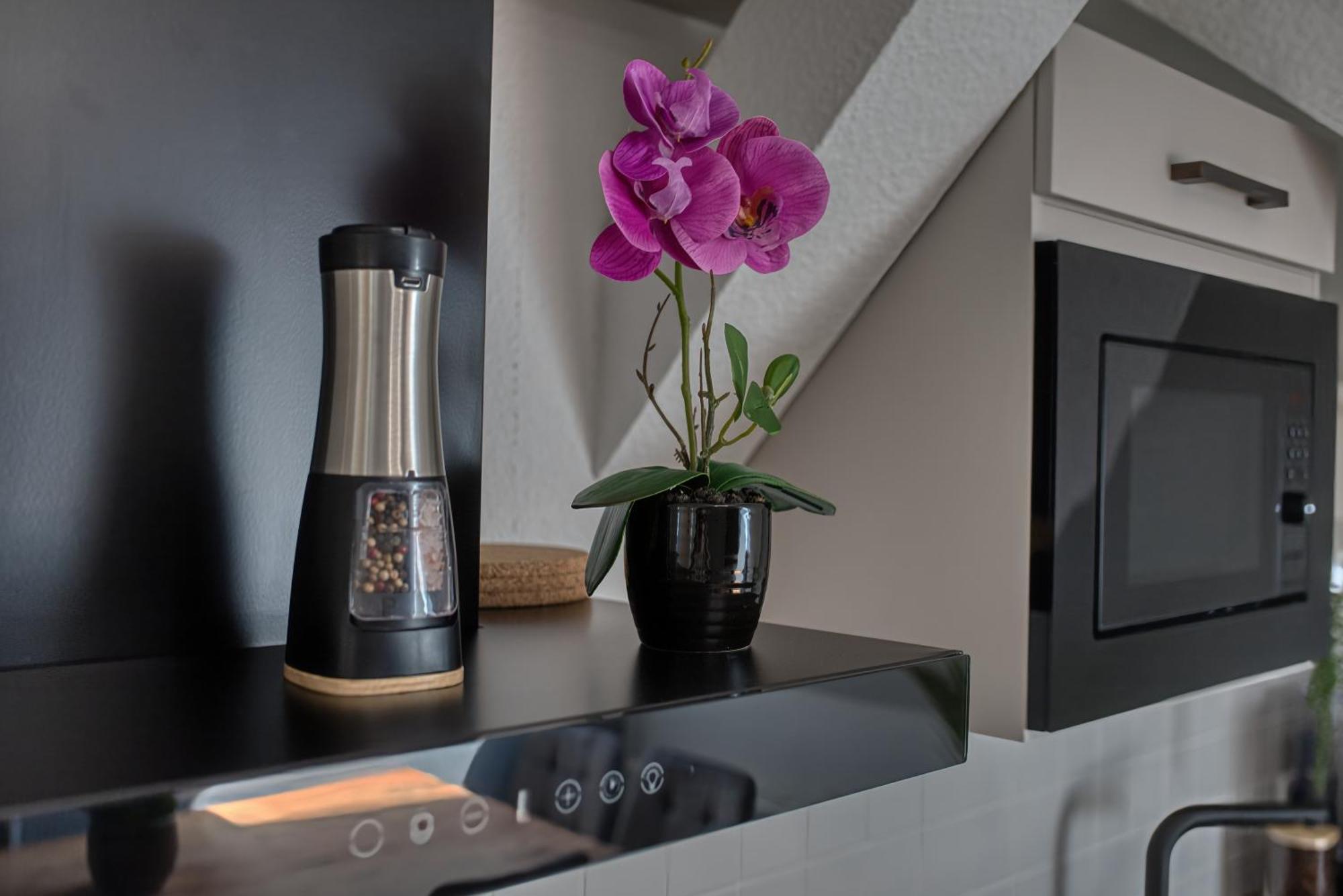 Dresdenstay Modern 3 Schlafzimmer Kamin Ps4 Kicker Dresden